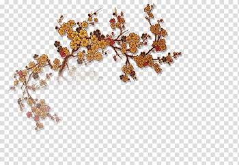 China Plum blossom , Plum flower transparent background PNG clipart