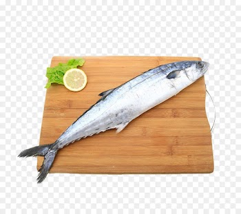 China Seafood Sashimi Mackerel Frozen Film Series - Tokai wild fresh frozen mackerel 