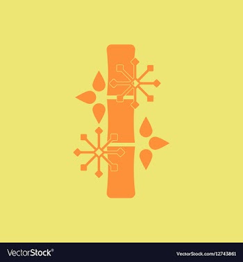 Chinese bamboo of bamboo and vector image