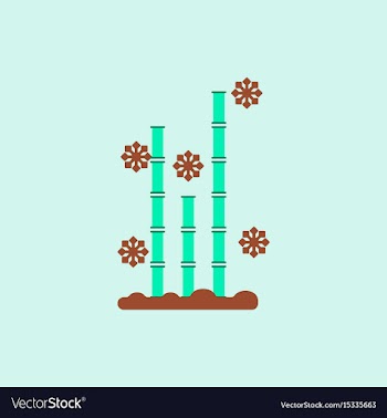 Chinese bamboo of bamboo and vector image