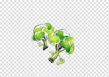 Chinese broccoli Cauliflower Vegetable, Cauliflower transparent background PNG clipart