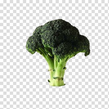 Chinese broccoli Cauliflower Vegetable Potato, Broccoli transparent background PNG clipart