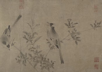 Chinese Bulbuls on Flowering Cherry-Apple | Free Photo - rawpixel