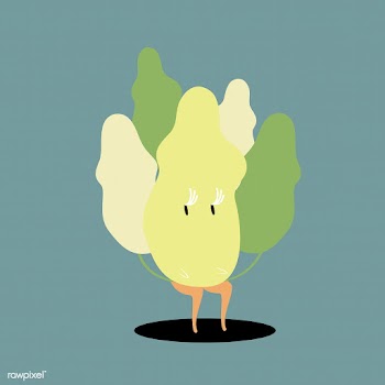 Chinese cabbage cartoon character vector | Free stock vector - 538588