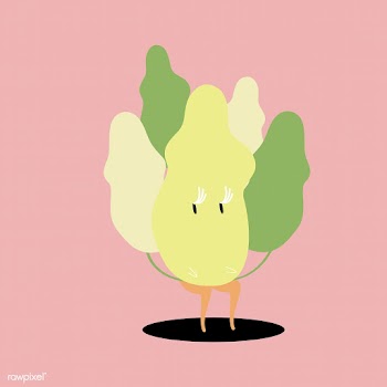 Chinese cabbage cartoon character vector | Free stock vector - 538684