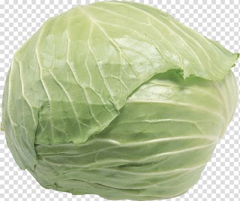 Chinese cabbage Cauliflower Leaf vegetable, 100-natural transparent background PNG clipart