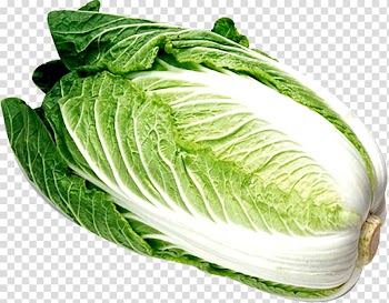 Chinese cabbage Chinese cuisine Vegetable Napa cabbage, Too cabbage transparent background PNG clipart