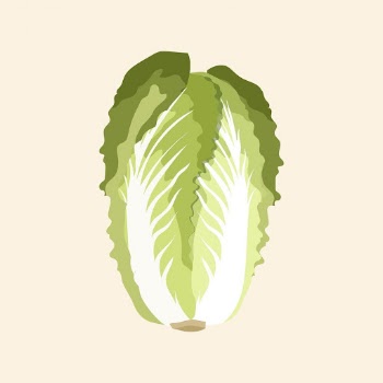 Chinese cabbage collage element, realistic | Free PSD Illustration - rawpixel
