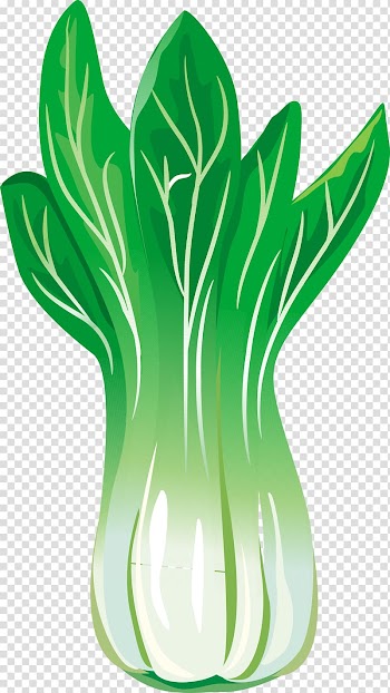 Chinese cabbage Leaf vegetable, Green vegetables transparent background PNG clipart