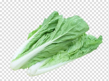 Chinese cabbage Vegetable Bok choy Seed, 2 parts of cabbage transparent background PNG clipart