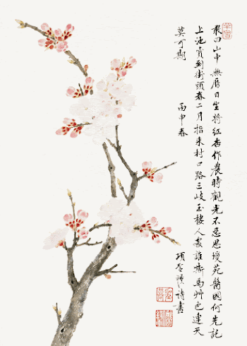 Chinese cherry blossom (1656) vintage | Free Photo Illustration - rawpixel