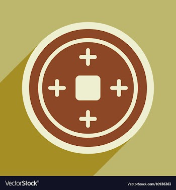 Chinese coins vector image