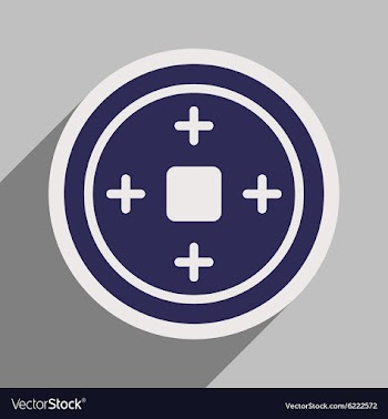 Chinese coins vector image