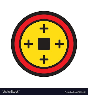 Chinese coins vector image