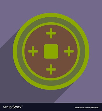 Chinese coins vector image
