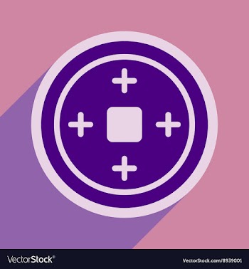 Chinese coins vector image