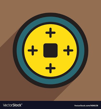 Chinese coins vector image