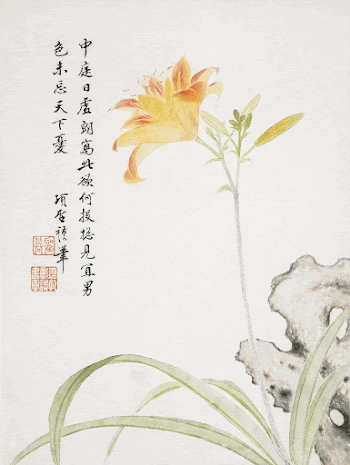 Chinese day lily (1656) vintage | Free Photo Illustration - rawpixel