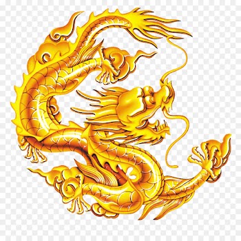 Chinese dragon Diri - Chinese dragon,Golden dragon 