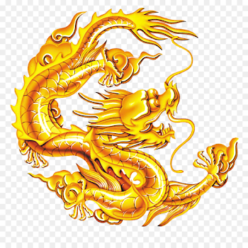 Chinese dragon Diri - Chinese dragon,Golden dragon png download ...