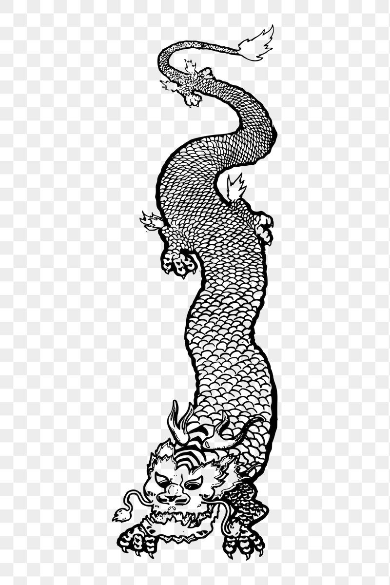 Chinese dragon png sticker, transparent | Free PNG - rawpixel