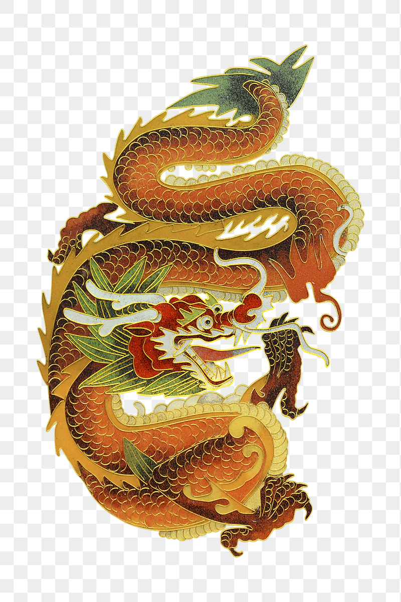 Chinese dragon png sticker, transparent | Free PNG - rawpixel