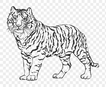 Chinese horoscope png tiger traditional | Free PNG Sticker - rawpixel