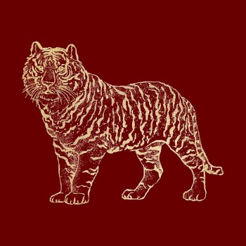 Chinese horoscope tiger traditional sticker, | Free PSD Illustration - rawpixel