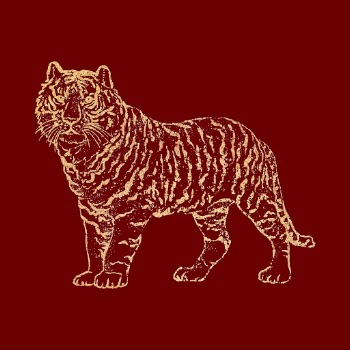 Chinese horoscope tiger traditional sticker, | Free Vector Illustration - rawpixel
