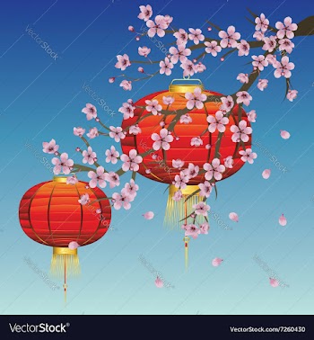 Chinese Lantern with Sakura Branch vector image