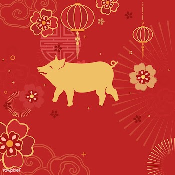 Chinese new year mockup illustration | Free stock vector - 555221