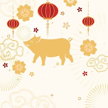 Chinese new year mockup illustration | Free stock vector - 555260