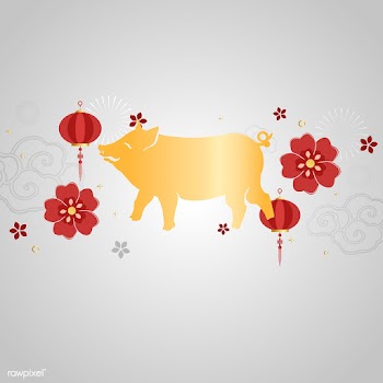 Chinese new year mockup illustration | Free stock vector - 555268