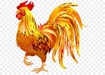 Chinese New Year New Year's Day Rooster Wallpaper - Rooster Transparent Clip Art PNG Image 