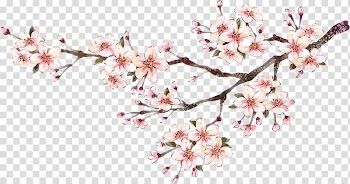Chinese New Year Poster Chinese painting, Plum flower transparent background PNG clipart