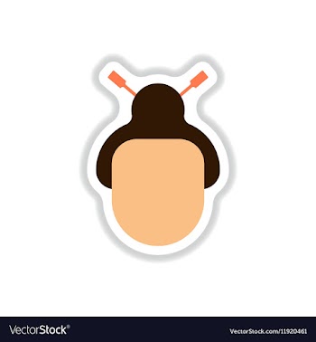 Chinese new year vector image
