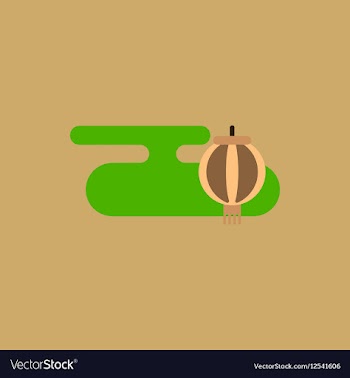 Chinese new year vector image