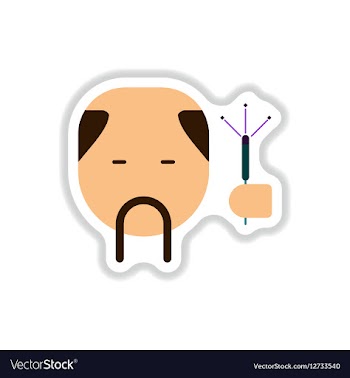 Chinese new year vector image