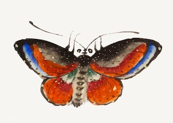 Chinese painting a colorful butterfly. | Free stock vector - 544828