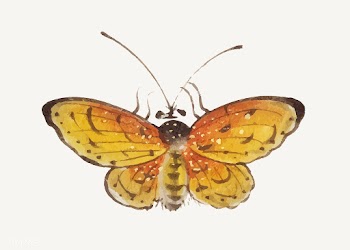 Chinese painting a yellow butterfly. | Free stock vector - 544817