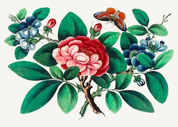 Chinese painting featuring flowers and butter.. | Free stock vector - 544856