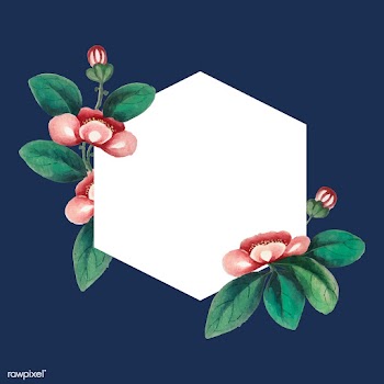 Chinese painting featuring flowers blank hexa.. | Free stock vector - 544862