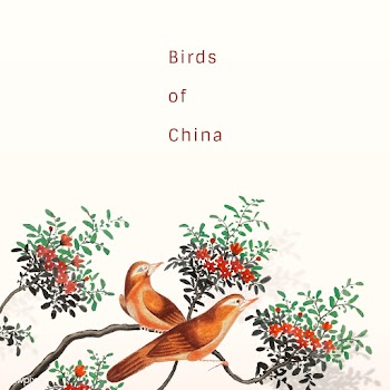 Chinese painting featuring two birds on a flo.. | Free stock vector - 544833