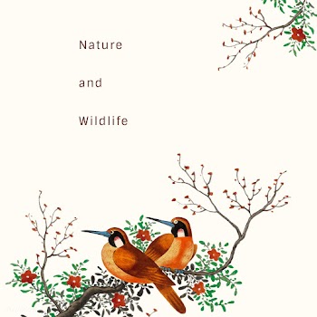 Chinese painting featuring two birds on a flo.. | Free stock vector - 544840