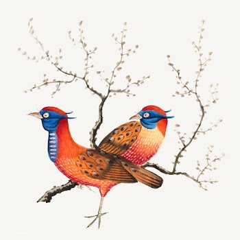 Chinese painting featuring two pheasant-like .. | Free stock vector - 544881