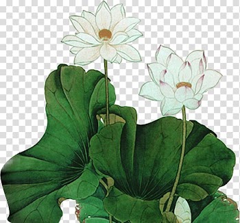 Chinese painting Nelumbo nucifera Ink wash painting Yixing clay teapot, Lotus leaf transparent background PNG clipart