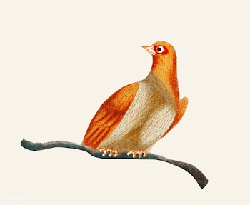 Chinese painting of a bird. | Free stock psd mockup - 544884