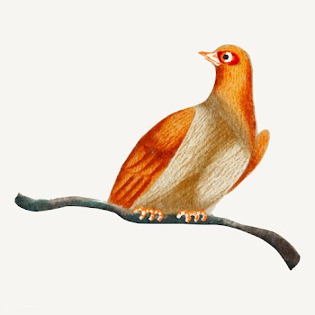 Chinese painting of a bird. | Free stock vector - 544837