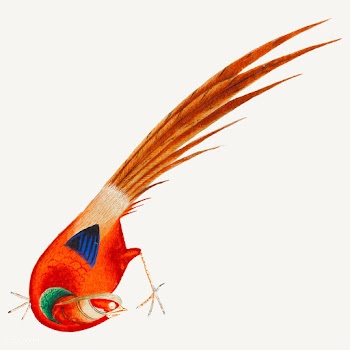 Chinese painting of a bird. | Free stock vector - 544890
