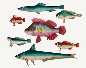 Chinese painting of one pink fish, two green .. | Free stock vector - 544893